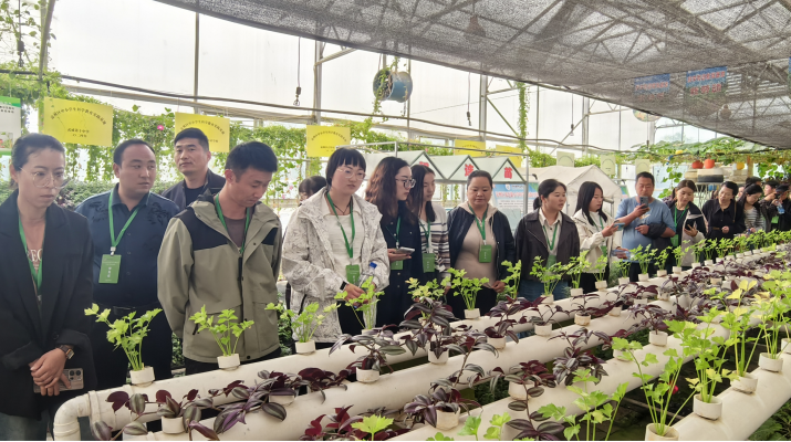 202509301759192840113160.png 圖片2.png