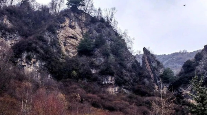 享游渭河源丨渭河源鳥鼠山驚現一只臥鳥