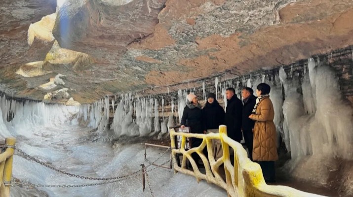 抓運營 促提質 守安全丨馬文玫總經理赴慶陽鳳凰塬舍、龍棲谷景區調研