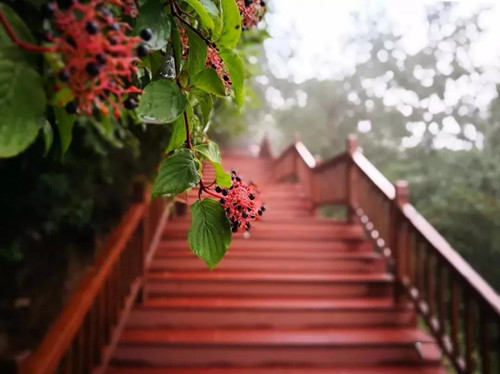 10_副本.jpg 10_副本.jpg