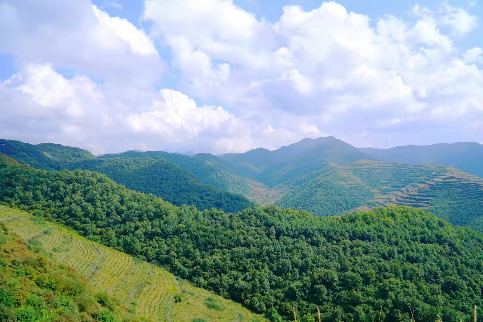 abe59750911c5a694934f553f99f92e.jpg abe59750911c5a694934f553f99f92e.jpg